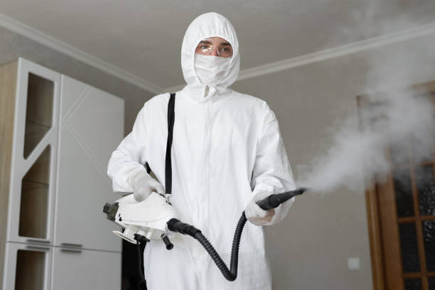 Why You Should Choose Our Mold Remediation Services in Kenwood, OH